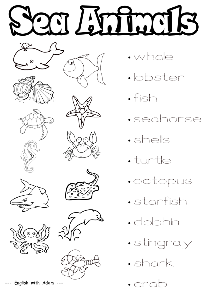 Flashcards de animales marinos en inglés